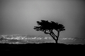 Day 1 - Pebble Beach
